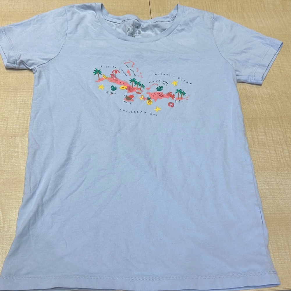 Vintage J Crew Collector Caribbean Sea Tee in Perfect Condition